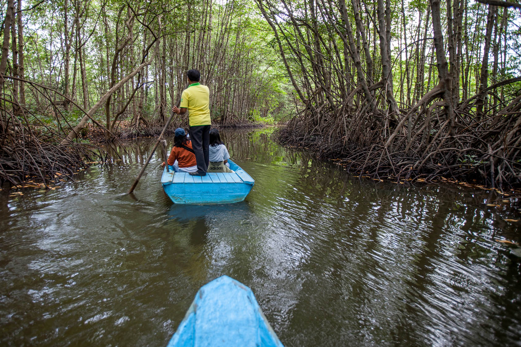 Can Gio Mangrove Forest 